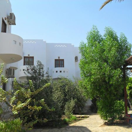 Alaska Camp & Hotel Dahab Zimmer foto
